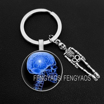Creative X-Ray Keychain Hiša Moških in Žensk Radiologija Keychains Torbico Vrečko Key Ring Darilo za Zdravnike